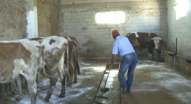 Erzurum'da işsiz kalan eski hükümlüye devlet sahip çıktı