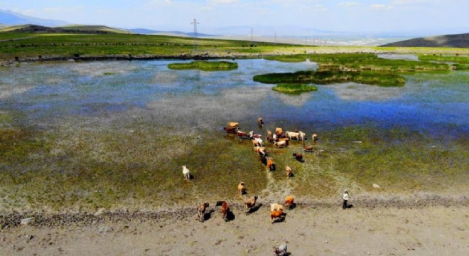 Erzurum'da kuraklık gündemi