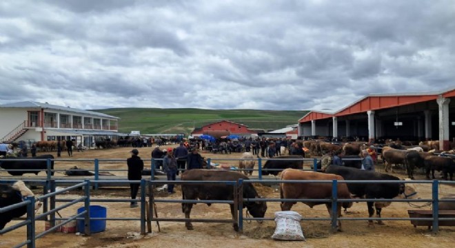 Erzurum'da kurban pazarı hareketlendi