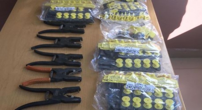Erzurum'da suç örgütü çökertildi