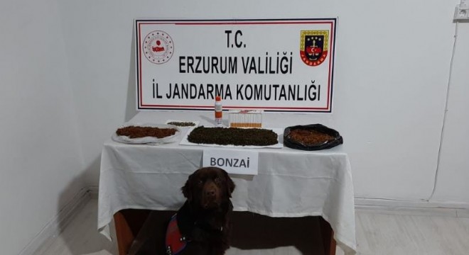 Erzurum'da uyuşturucu operasyonu 3 tutuklama