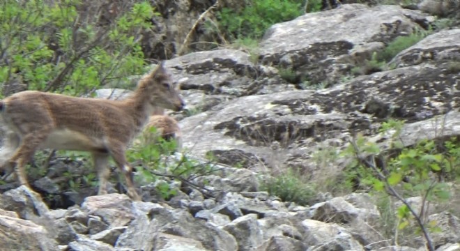 Erzurum'dan bir doğa harikası