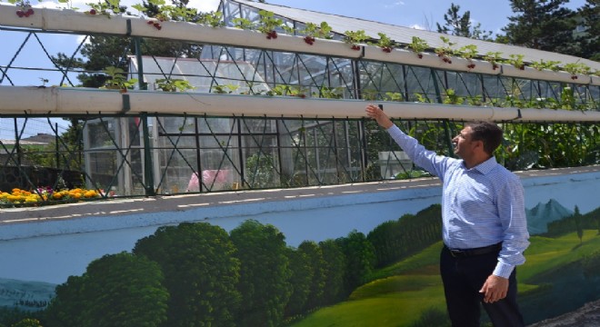 Erzurum tarım ürünleri çeşitlenecek