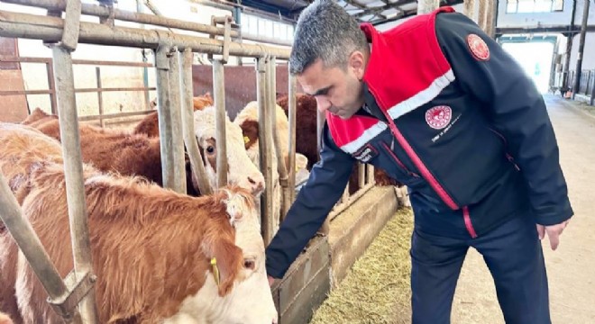 Erzurum tarımsal destek verileri açıklandı