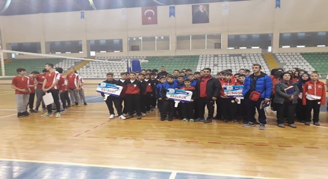 Erzurum  voleybol ANALİG'de çeyrek finalde