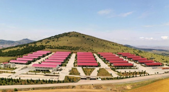Erzurumlu besiciler Altındağ'da