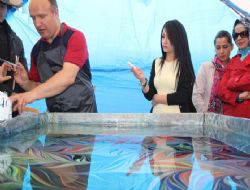 GSF'de performans rekabeti