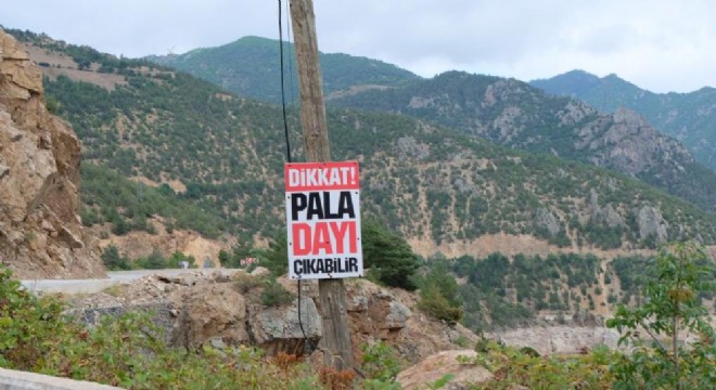 Gümüşhane yolunda: ‘Dikkat Pala Dayı Çıkabilir'