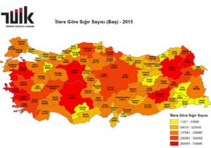 Erzurum besicilikte 1'inci sırada