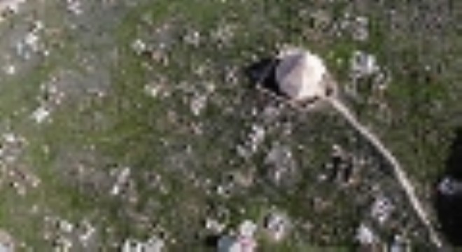 Hacı Kutlu Bey'in türbesi tarihe ışık tuttu