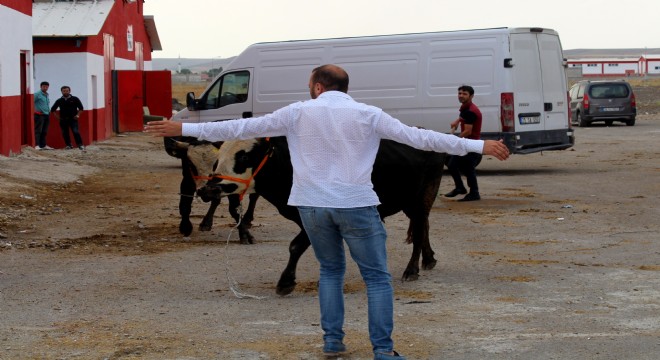 Hayvan Pazarında kurbanlık hareketliliği