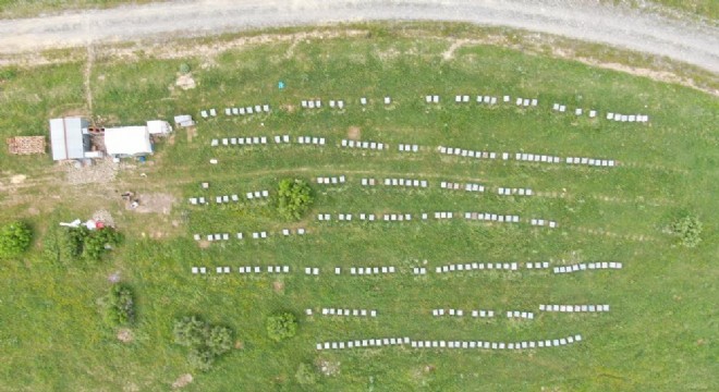 Hınıs'tan Kulp'a arıcılık köprüsü
