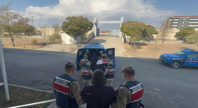 Horasan'da Jandarma'dan kaçak kazı operasyonu