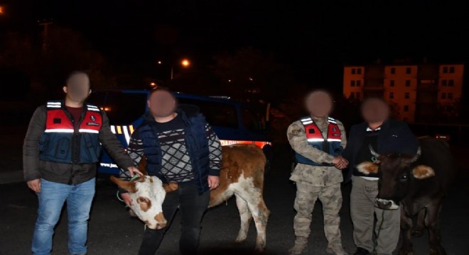 Horasan'da arandı, Sarıkamış'ta yakalandı