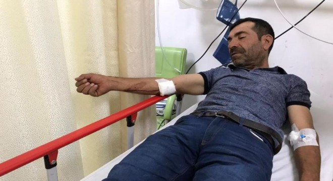 Horasan'da ayı saldırısı