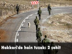 Hakkari'de hain tuzak: 2 şehit 