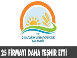25 firma teşhir edildi