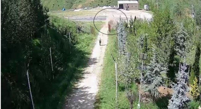 İmranlı yolunda kaza: 1 ölü, 5 yaralı