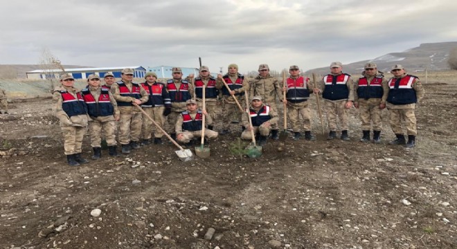 Jandarma'dan Şehitler anısına hatıra ormanı