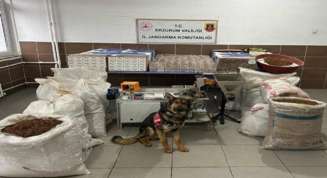 Jandarmadan kaçak sigara operasyonu