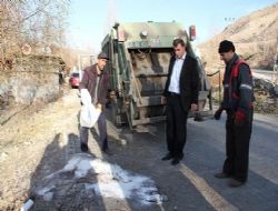 İlçe merkezine kurt indi