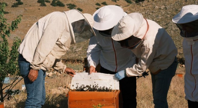 KUDAKA'dan Arıcılığa teknoloji desteği