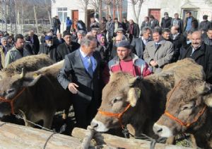 Kaymakam Katırcı besicileri sevindirdi
