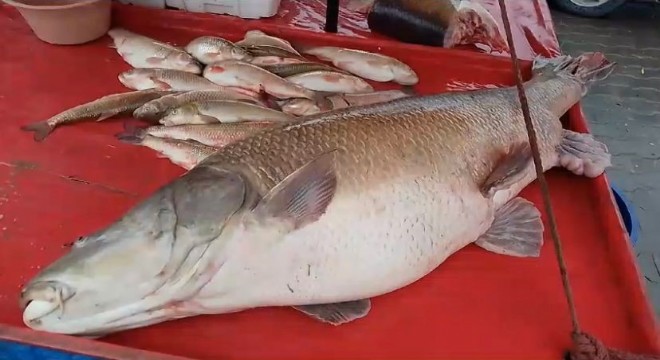 Karasu Nehri'nde bir ilk