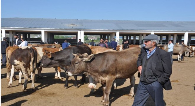 Kars'ta Hayvan Pazarları kapatıldı
