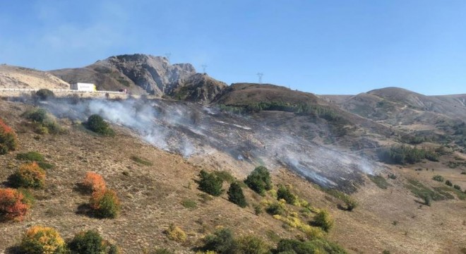 Kop Dağı'ndaki örtü yangını kontrol altına alındı