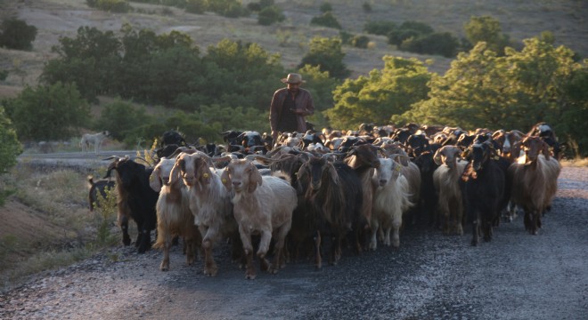 Köy hayatını, şehir yaşamına tercih etti