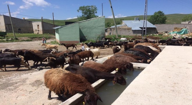 Koşapınar sakinleri Azizoğlu'ndan destek istedi