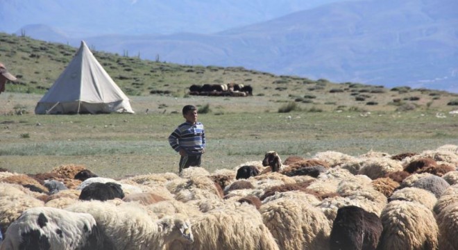 ‘Köyümde Yaşamak İçin Bir Sürü Nedenim Var'