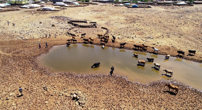 ‘Köyün yüzde 80'i Erzurum'da