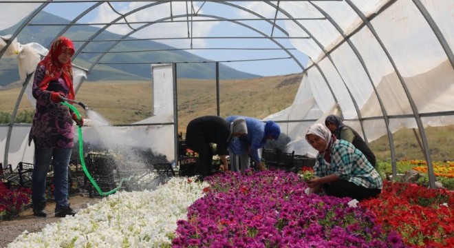 Külliye'nin çiçekleri Doğu'dan