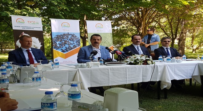 Kurban Bayramı'nda dişi hayvan kesilmeyecek