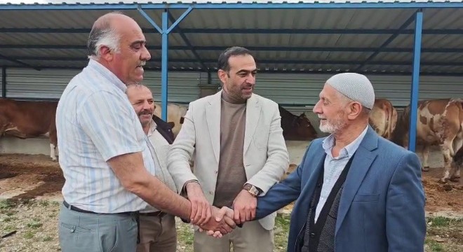 Kurbanlık pazarlarında hareketlilik başladı