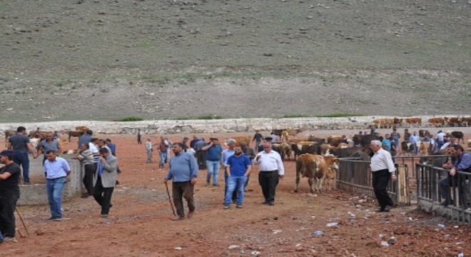Kurbanlıklar pazara indi
