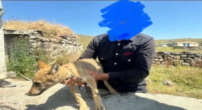 Kurt yavrusunu satmak isteyen şahsa para cezası