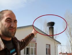 Leylekler erken geldi