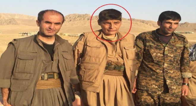 MİT'ten Kamışlı'da nokta operasyon