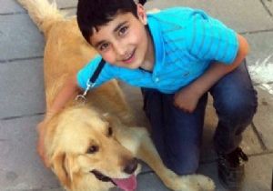 Mert'in katiline müebbet hapis cezası istendi