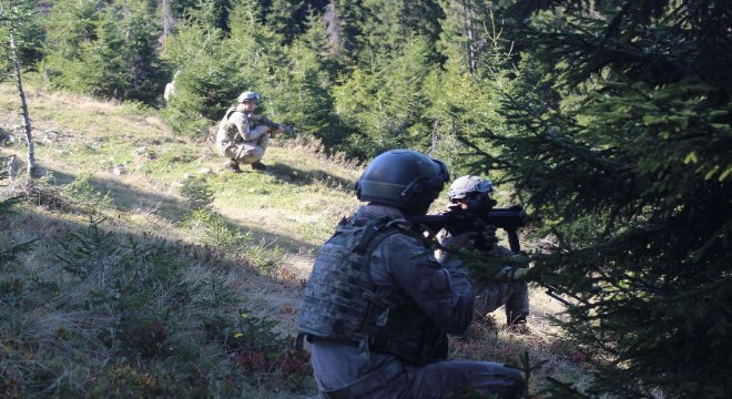 Mehmetçik PKK'ya göz açtırmıyor