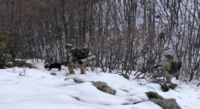 Mehmetçik'ten karlı havada terör operasyonu