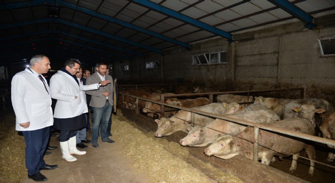 Memiş'ten tarım ekonomisi vurgusu