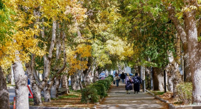 Meteorolojiden kuvvetli rüzgar ve kar uyarısı