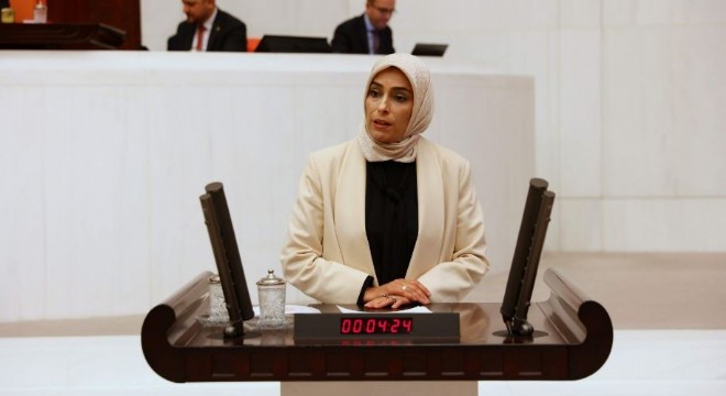 Milletvekili Ban'a yeni görev