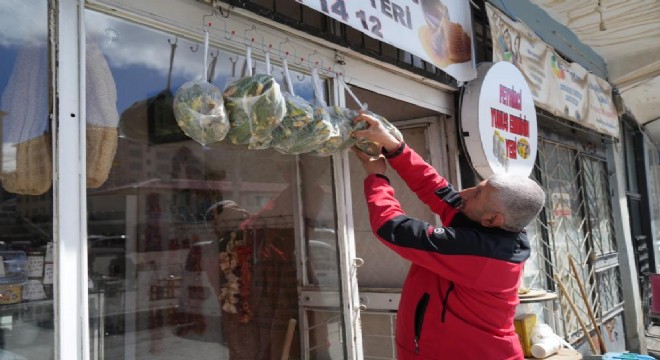 Muş'ta askıda çiriş otu uygulaması