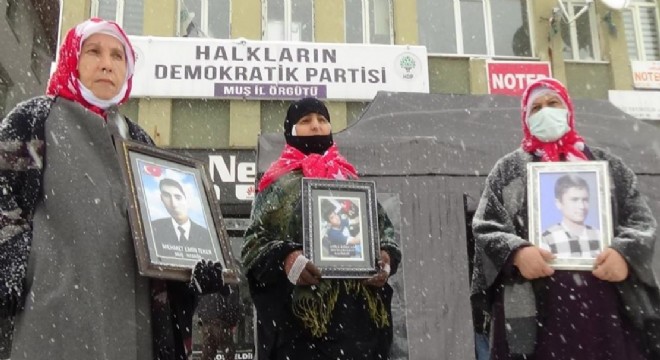 Muş'ta evlat nöbeti devam ediyor