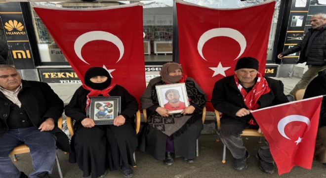 Muşlu Annelerin evlat nöbeti 132. haftasında